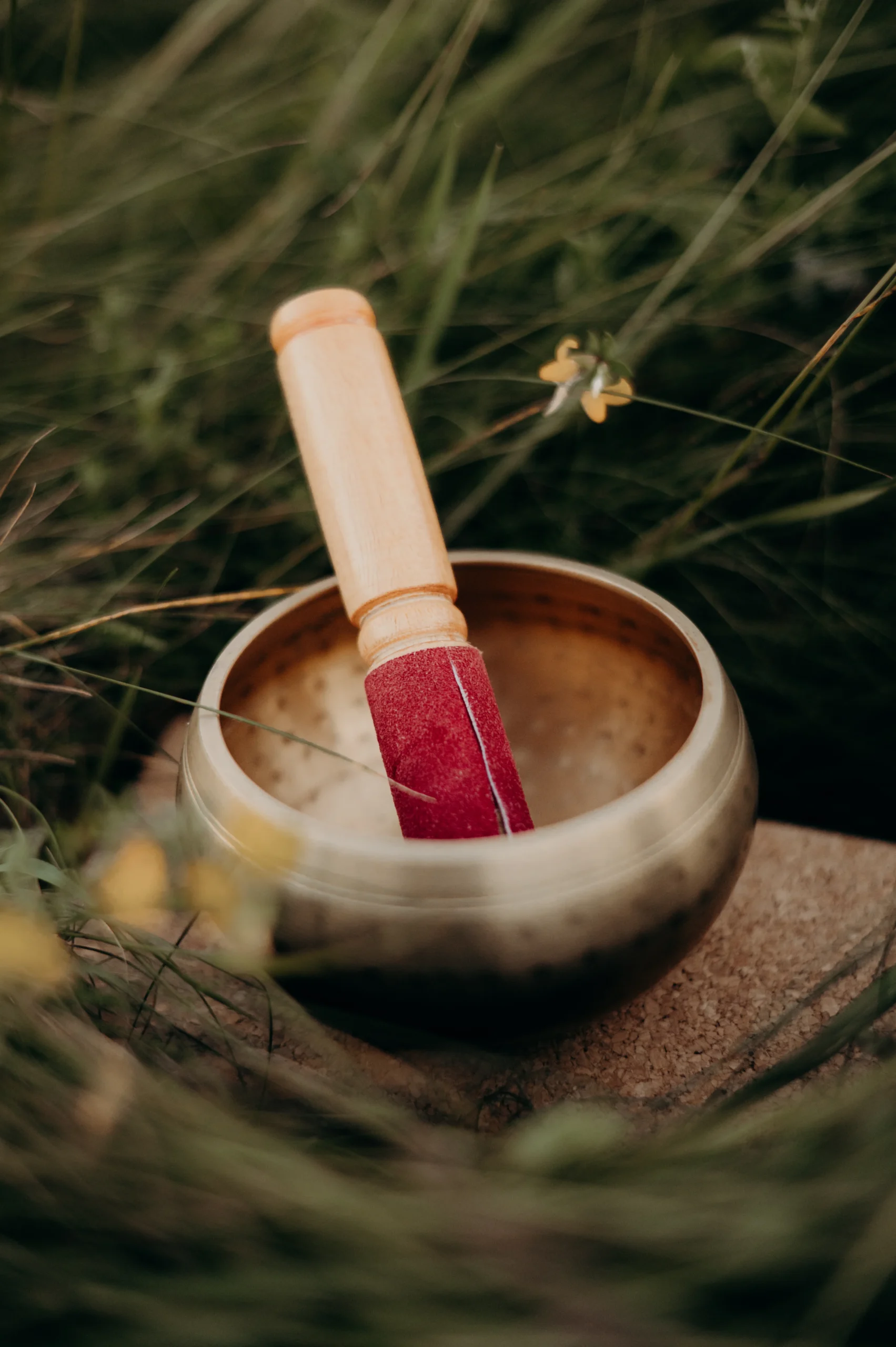 Marie Lise Gouit Accueil 3