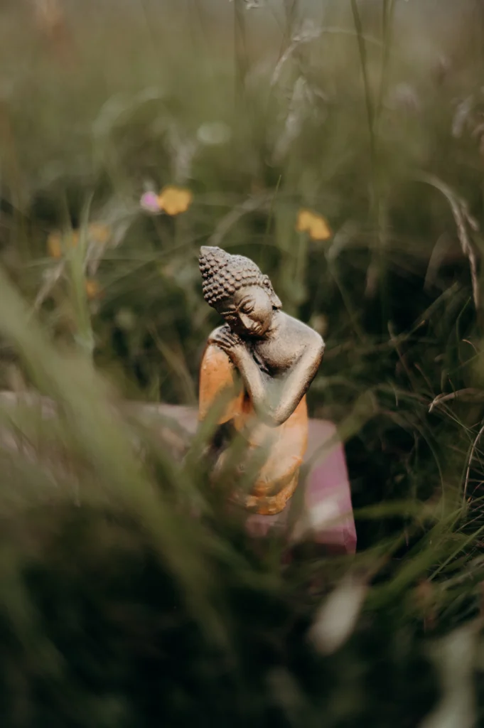 image Marie-Lise Gouit page ayurveda science ancestrale de lharmonie et de la sante