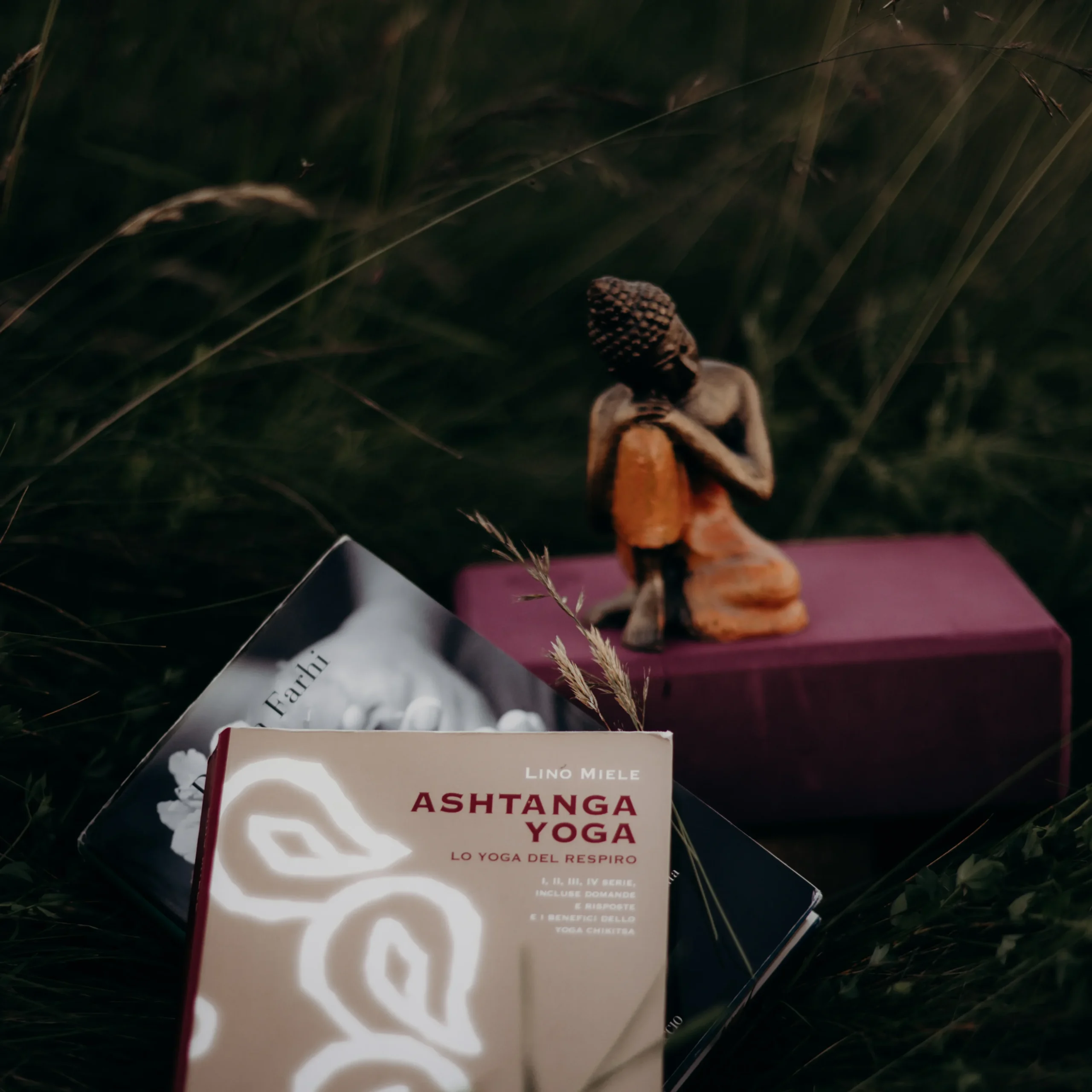 image Marie-Lise Gouit page qui suis je